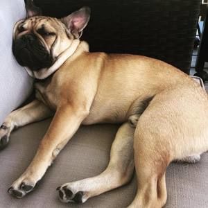 Meet your Posher, Carly